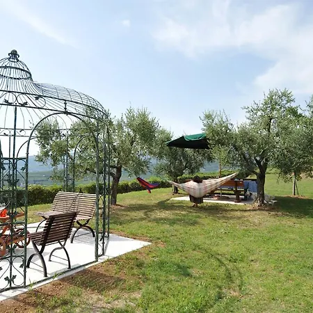 Amarone * San Floriano (Veneto)