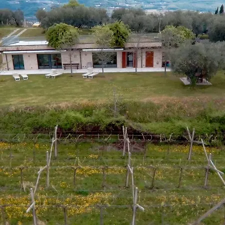 Amarone * San Floriano (Veneto)