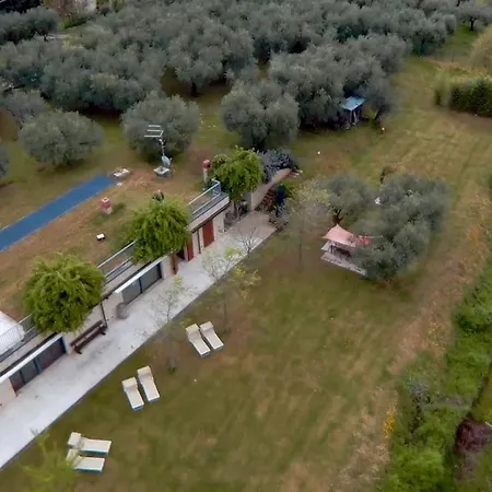 Amarone * San Floriano (Veneto)