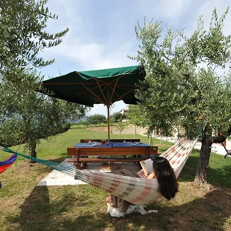 Amarone * San Floriano (Veneto)