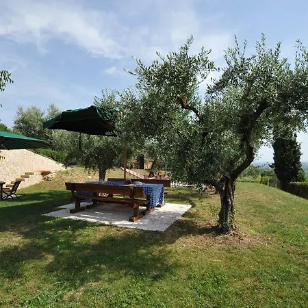 Amarone * San Floriano (Veneto)